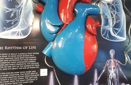 Science Alive