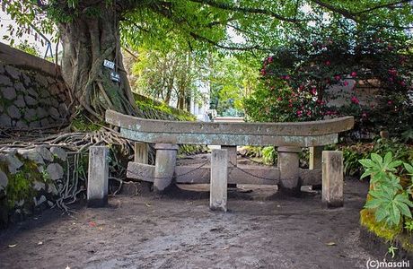 Buried Shrine Gate