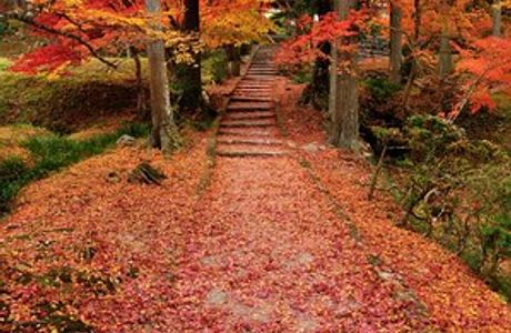 Ryuonji Temple