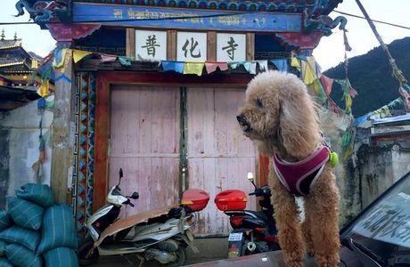 Puhua Temple