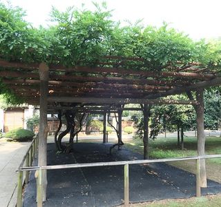 Rengetsusan Aizenin Kannonji Temple