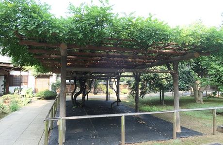 Rengetsusan Aizenin Kannonji Temple