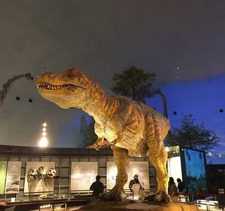 Hakusan Dinosaurs Park Shiramine