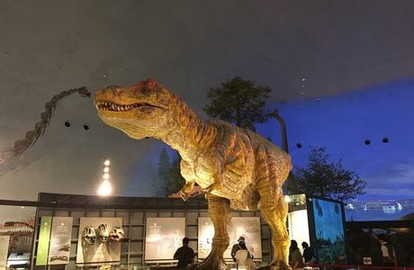 Hakusan Dinosaurs Park Shiramine