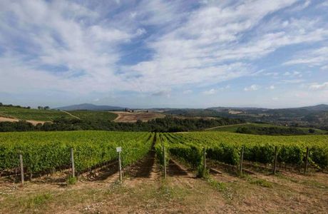 Fattoria Poggio Capponi