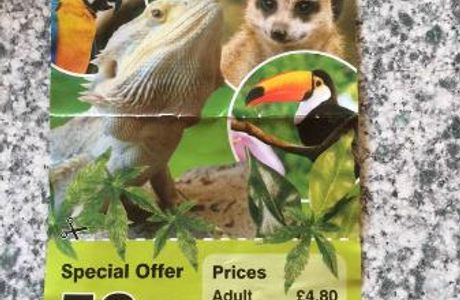 Jungle Zoo