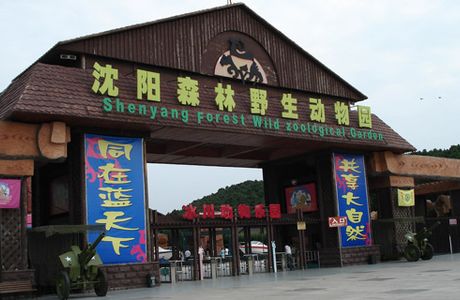 Shenyang Zoo