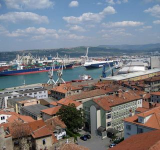 Vivarij BioExo Koper