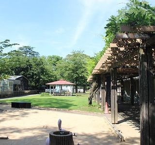Takaoka Kojo Park Zoo