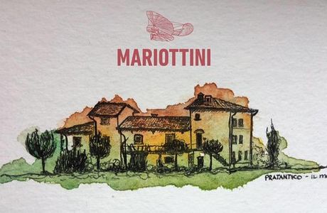 Cantina MARIOTTINI Vino & Olio