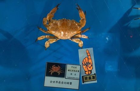 Beiguan Crab Museum
