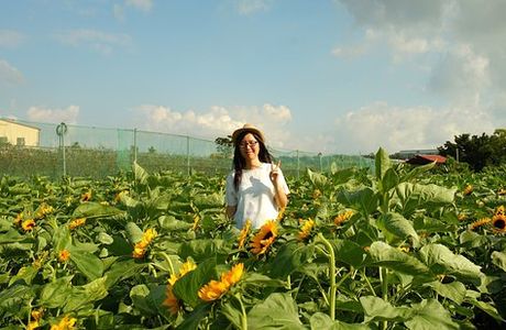 Taichung Bao Che Lv You