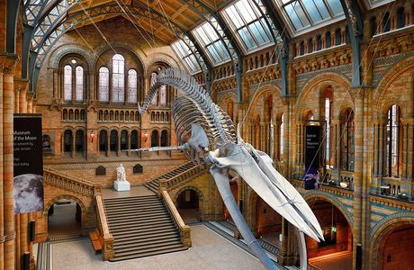 Woo Seok Heon Natural History Museum