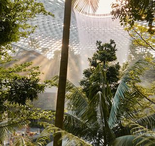 Shiseido Forest Valley