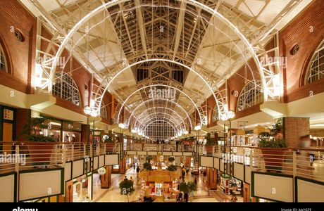 Alfred Mall Gallery
