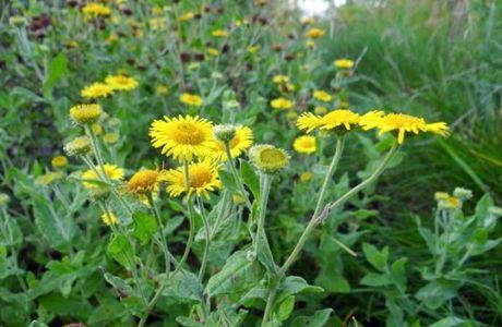 Natuur en Recreatiegebied Broekpolder