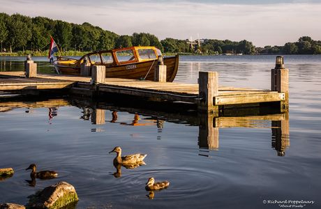 Kralingse Plas