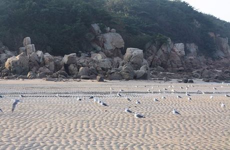 Hanagae Beach