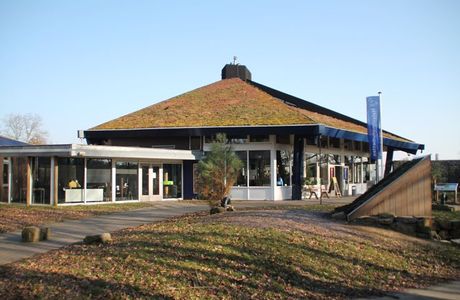 Brunssummerheide