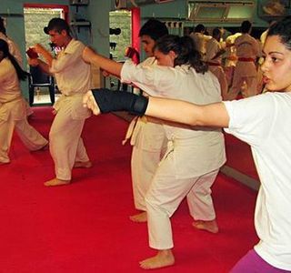 Bodaishin Kyokushin Karate Dojo