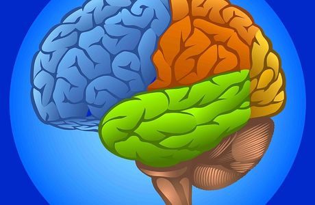 Brain Room