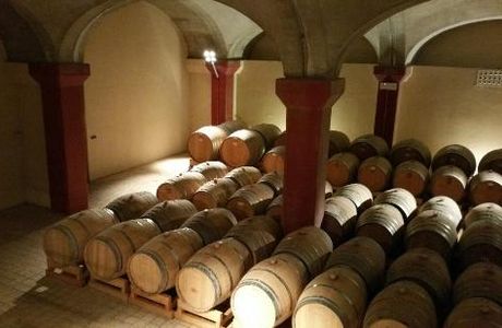 Cantina Novelli