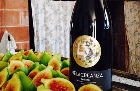 Casa Vinicola Rosato