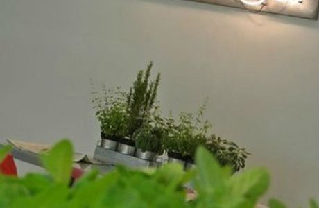 Casa & Bottega Caffe