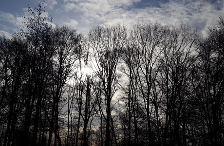 Baardwijkse Overlaat