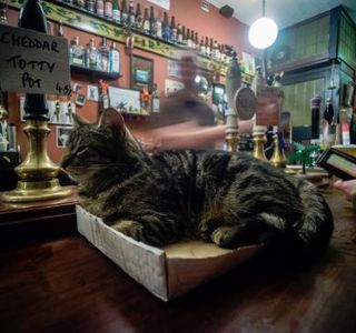 Bag of Nails, Bristol