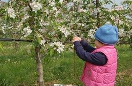 Azienda Fiorentina di Sopra