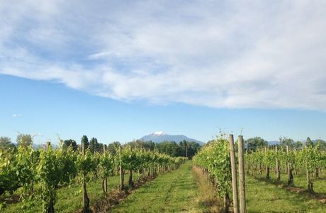 Azienda Agricola Provenza