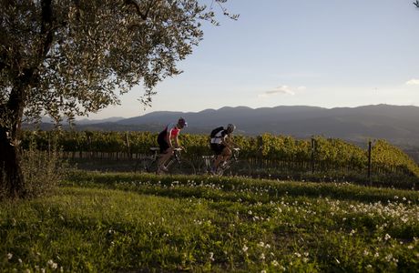 Bicycle Path Spoleto-Assisi