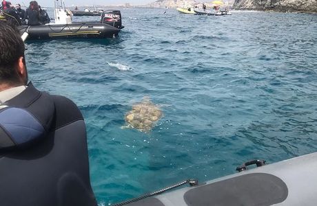 Club de Buceo Rincon de Arona