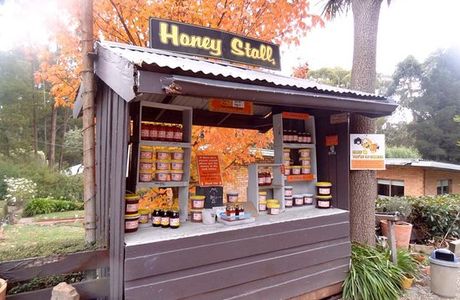 Des O'Toole Honey