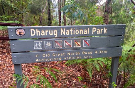 Dharug National Park