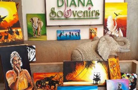 DIANA Souvenirs