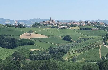 Cordero di Montezemolo