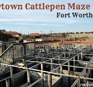 Cowtown Cattlepen Maze