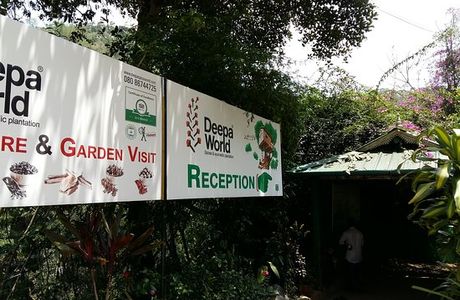Deepa World Spice and Ayurvedic Garden
