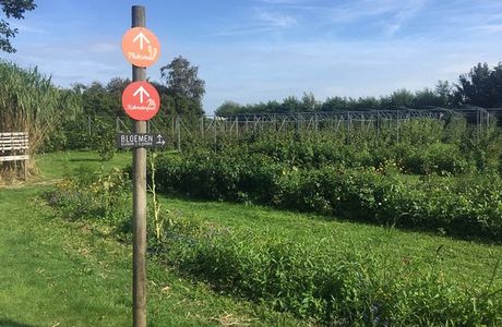 De Zelfpluktuin