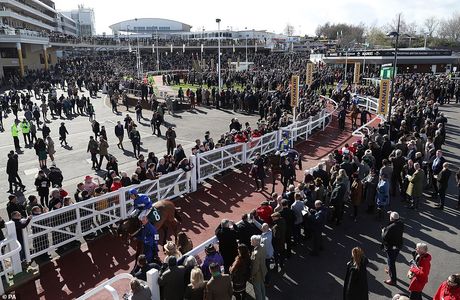 Cheltenham Festival