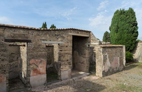 House of the Surgeon