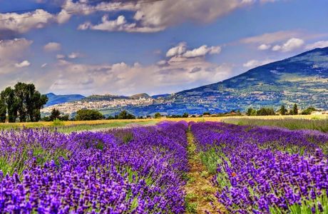 Il Lavandeto di Assisi