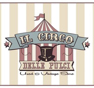 Il Circo delle Pulci