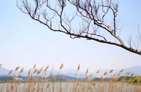Gyeongpoho Lake