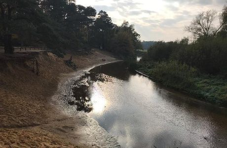 Het Lutterzand