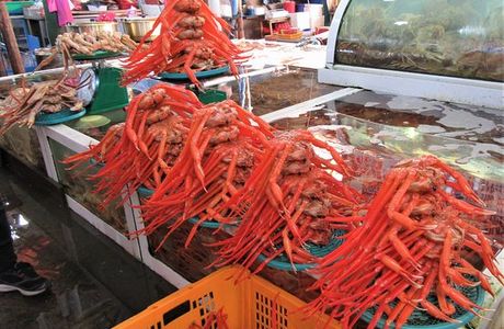 Jumunjin Fish and Seafood Market
