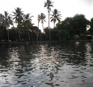 Kayamkulam Lake