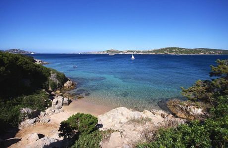 Isola del topo